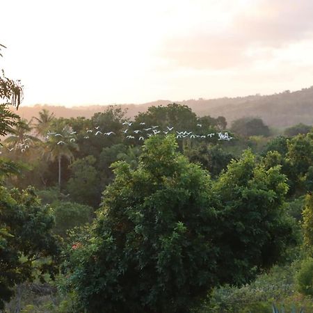 Sumba Nautil Resort Deke Extérieur photo